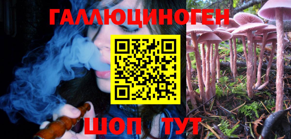 Псилоцибиновые грибы Psilocybe  Вход с VPN  продажа наркотиков  Новосибирск  Галлюциногенные грибы Cubensis 