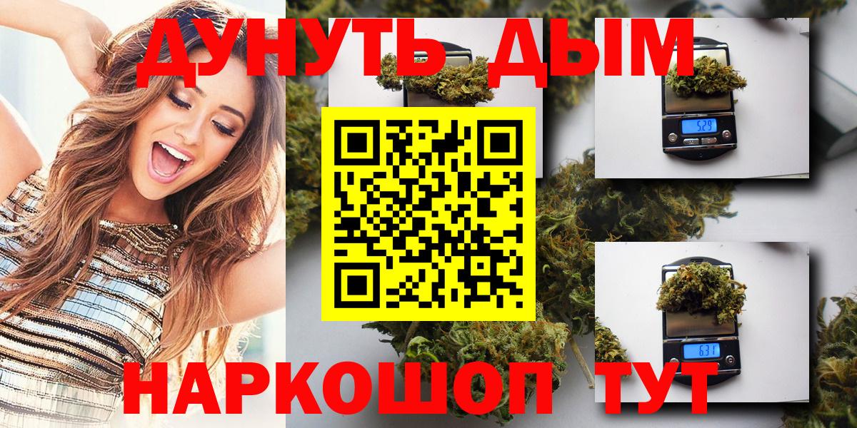 Канабис сатива Новосибирск